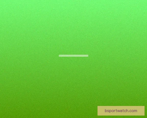 世界杯竞猜赔率平台全面解析及热门赛事投注策略指南